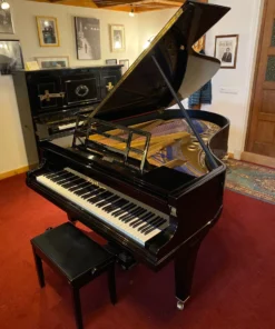 Alternative view of Blüthner - model IX - 210 cm