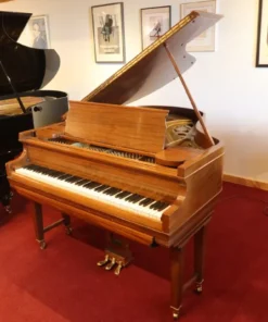 Chickering & Sons - Centennial edition - Ampico A - 170 cm