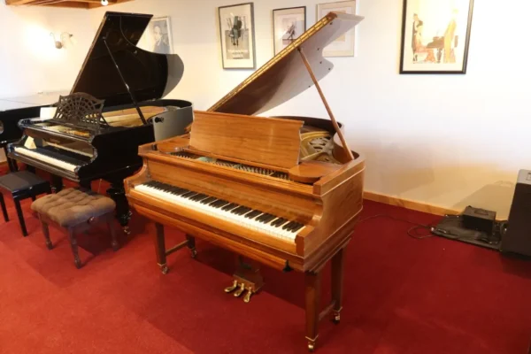Chickering & Sons - Centennial edition - Ampico A - 170 cm