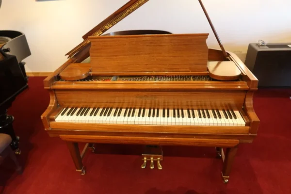 Chickering & Sons - Centennial edition - Ampico A - 170 cm - Image 3
