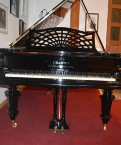 Bechstein - model V - 200 cm