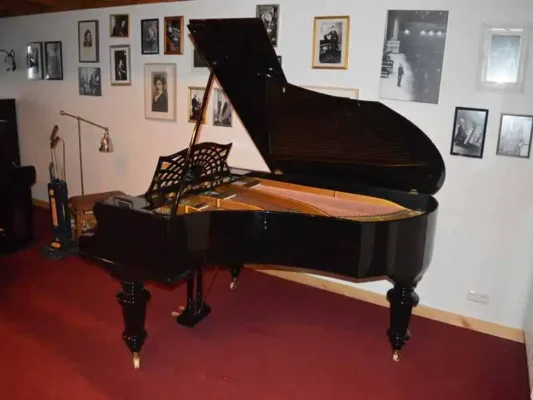 Bechstein - model V - 200 cm - Image 2