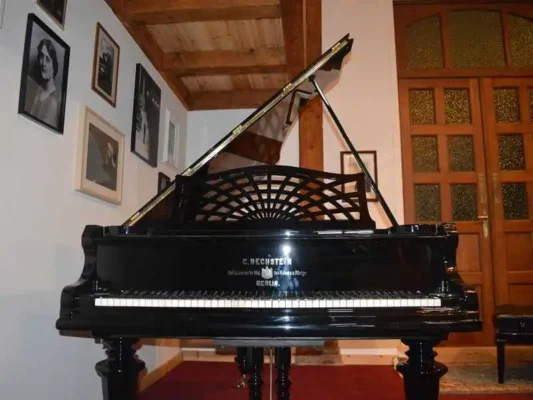 Bechstein - model V - 200 cm - Image 8