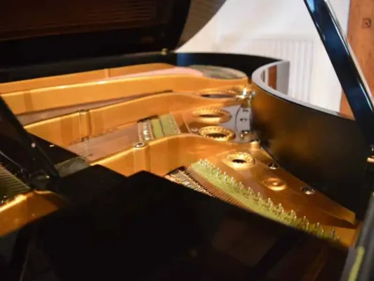 Bechstein - model V - 200 cm - Image 7
