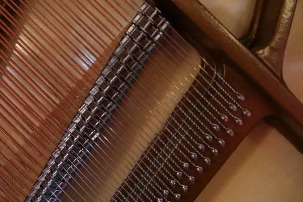 Phoenix piano - Kevlar edition - 130 cm - Image 8