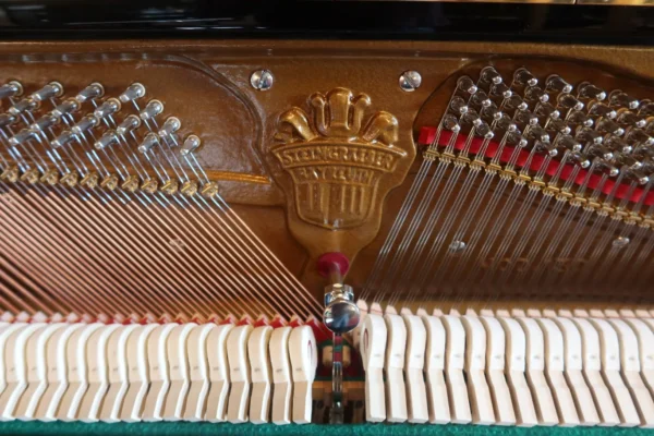 Phoenix piano - Kevlar edition - 130 cm - Image 6