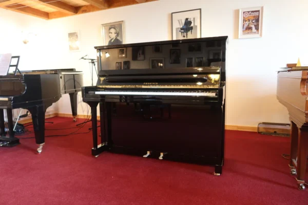 Phoenix piano - Kevlar edition - 130 cm - Image 2