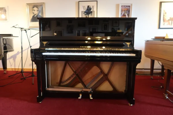 Phoenix piano - Kevlar edition - 130 cm - Image 3