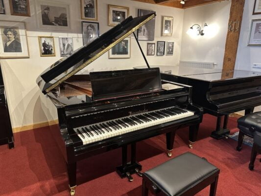 Bösendorfer grand piano - model 170 - Image 3