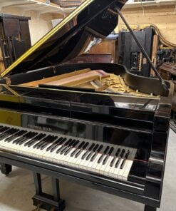 Alternative view of Steinway & Sons - model OP - Welte T98 "grün" - 1925