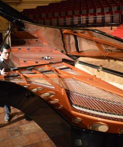 Bösendorfer concert grand piano - Phoenix carbon-fiber - 275cm